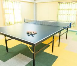 pingpong room